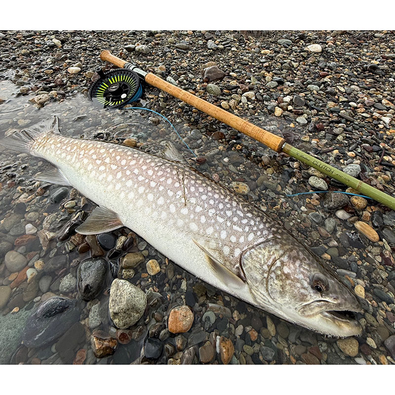 CLUTCH #10 (16ft)