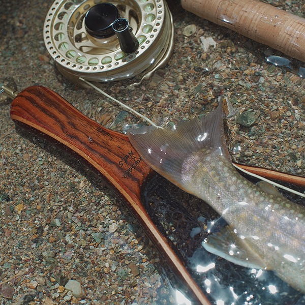 SUGISAKA NET꡼ ֥ڡСͥåȡʥСå)