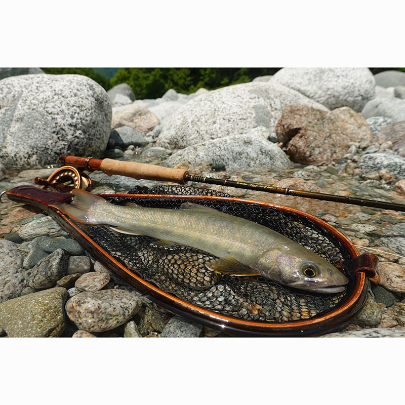 SUGISAKA NET꡼ ֥ڡСͥåȡʥСå)