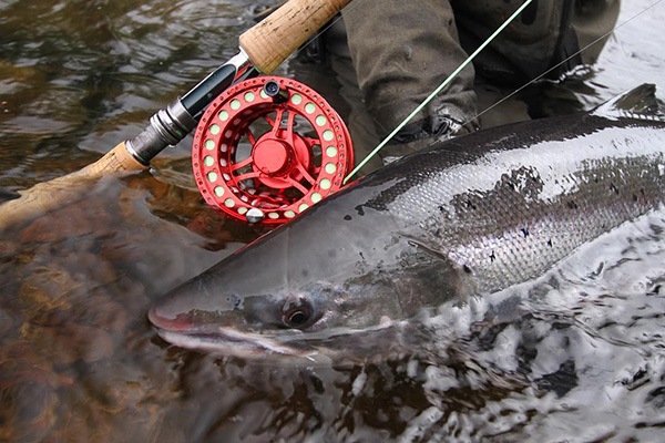 27_000000001639.jpg?1678209905