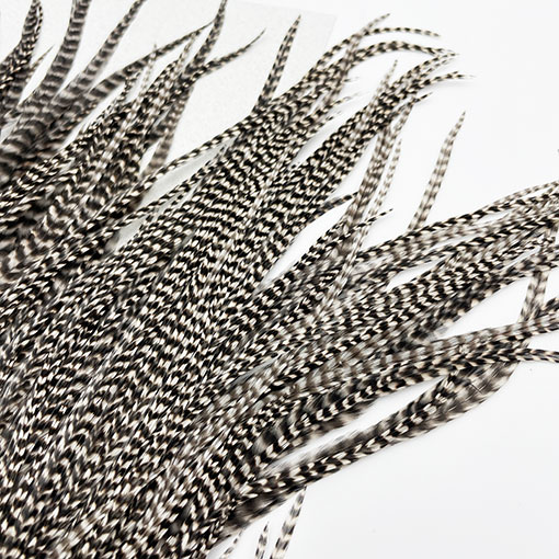 KEOUGH ���å����ɥ롡���졼��2�� �ʥ��ꥺ�꡼�� No.3