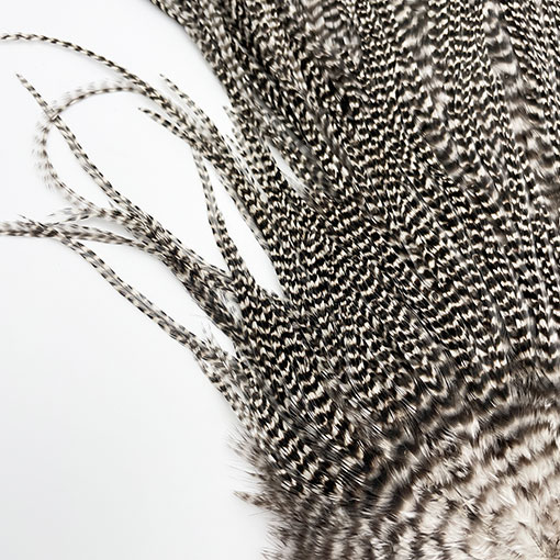 KEOUGH ���å����ɥ롡���졼��2�� �ʥ��ꥺ�꡼�� No.3