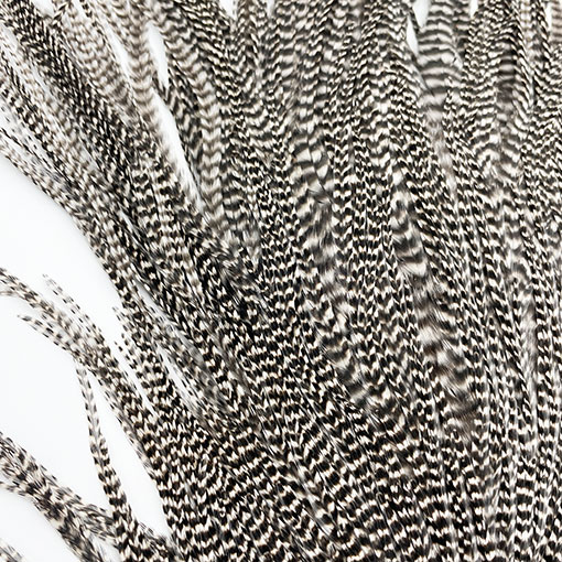 KEOUGH ���å����ɥ롡���졼��2�� �ʥ��ꥺ�꡼�� No.3