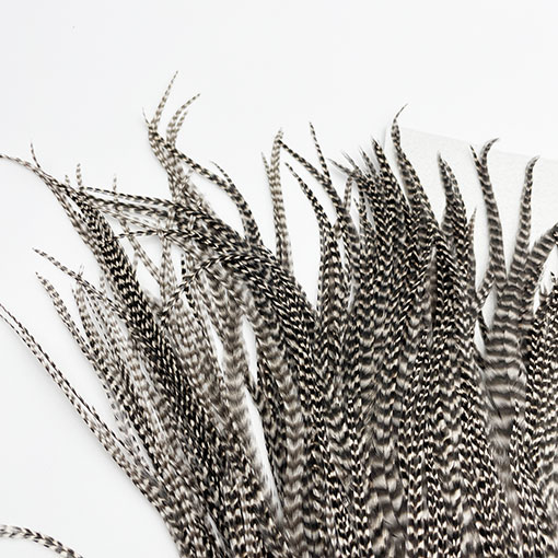 KEOUGH ���å����ɥ롡���졼��2�� �ʥ��ꥺ�꡼�� No.3