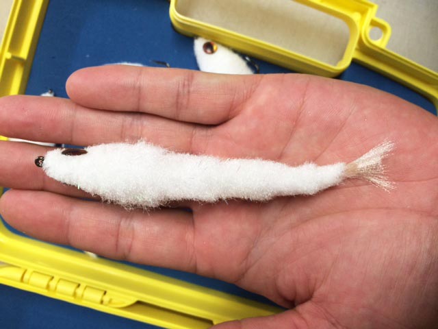 ����������󥸥㡼����/���ʥѡ���ۥ磻�ȡ�