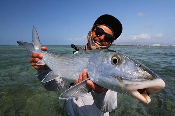 NEW �ե������ޥ������ӿˡܥڥ����꡼����