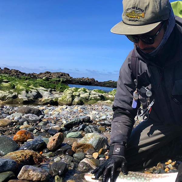 NEW �ե������ޥ������ӿˡܥڥ����꡼����