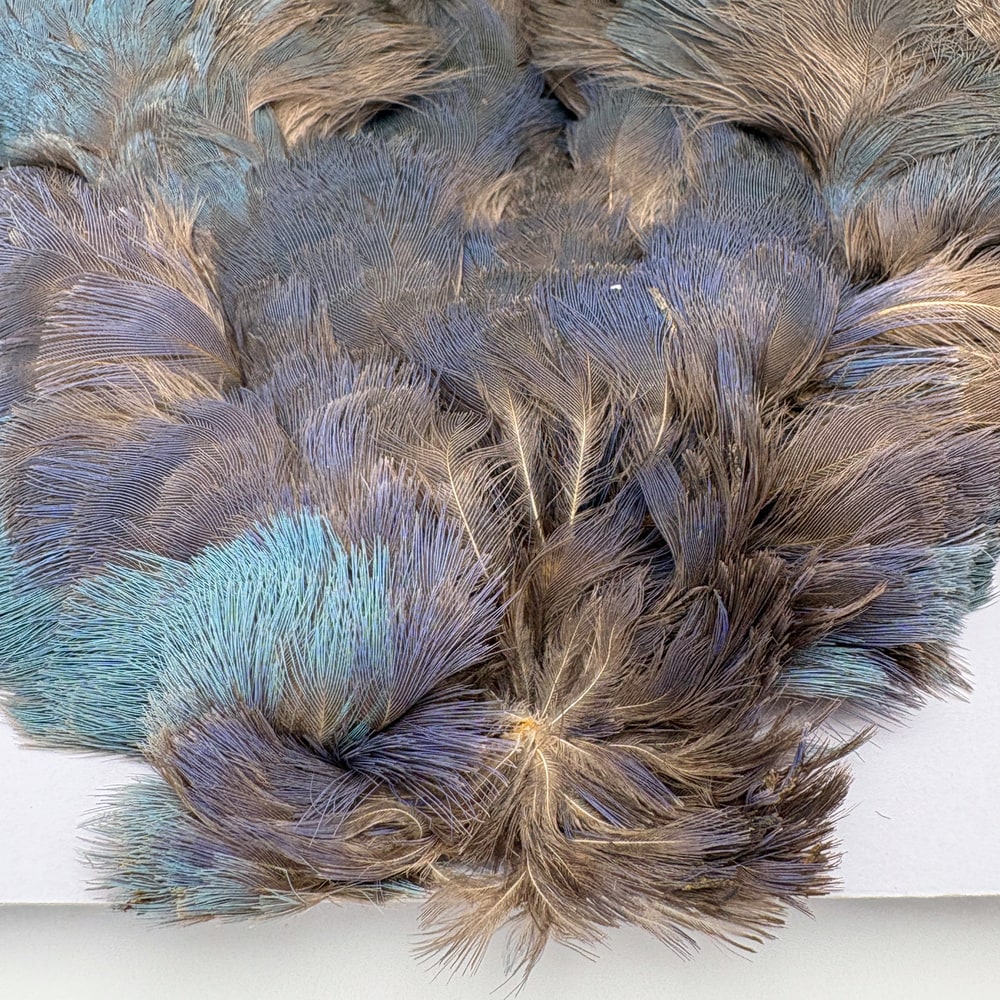 CANAL社 パープルスワンヘン No.3