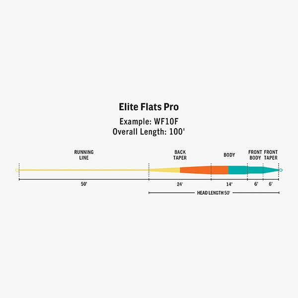 RIO Elite Flats Pro ꡼ȥեåĥץ (WF) AQUA