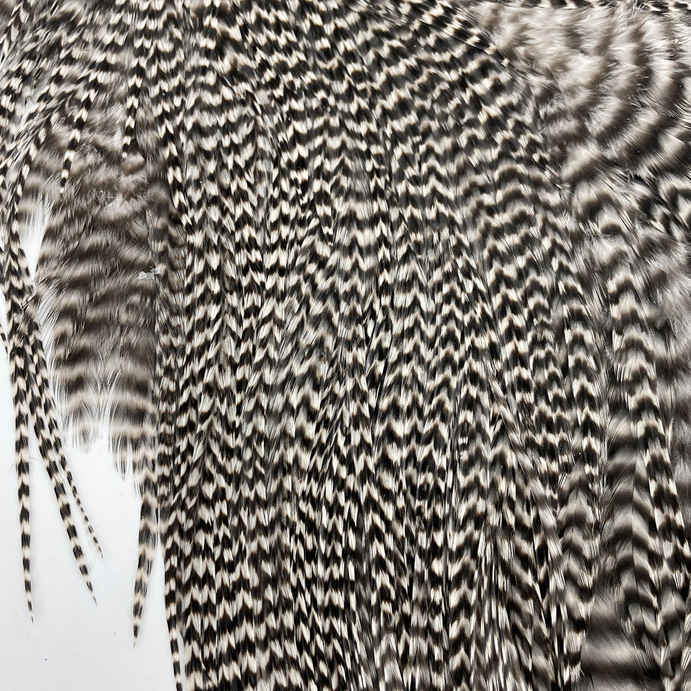 KEOUGH ���å����ɥ롡���졼��2 �ʥ��ꥺ�꡼�� No.1