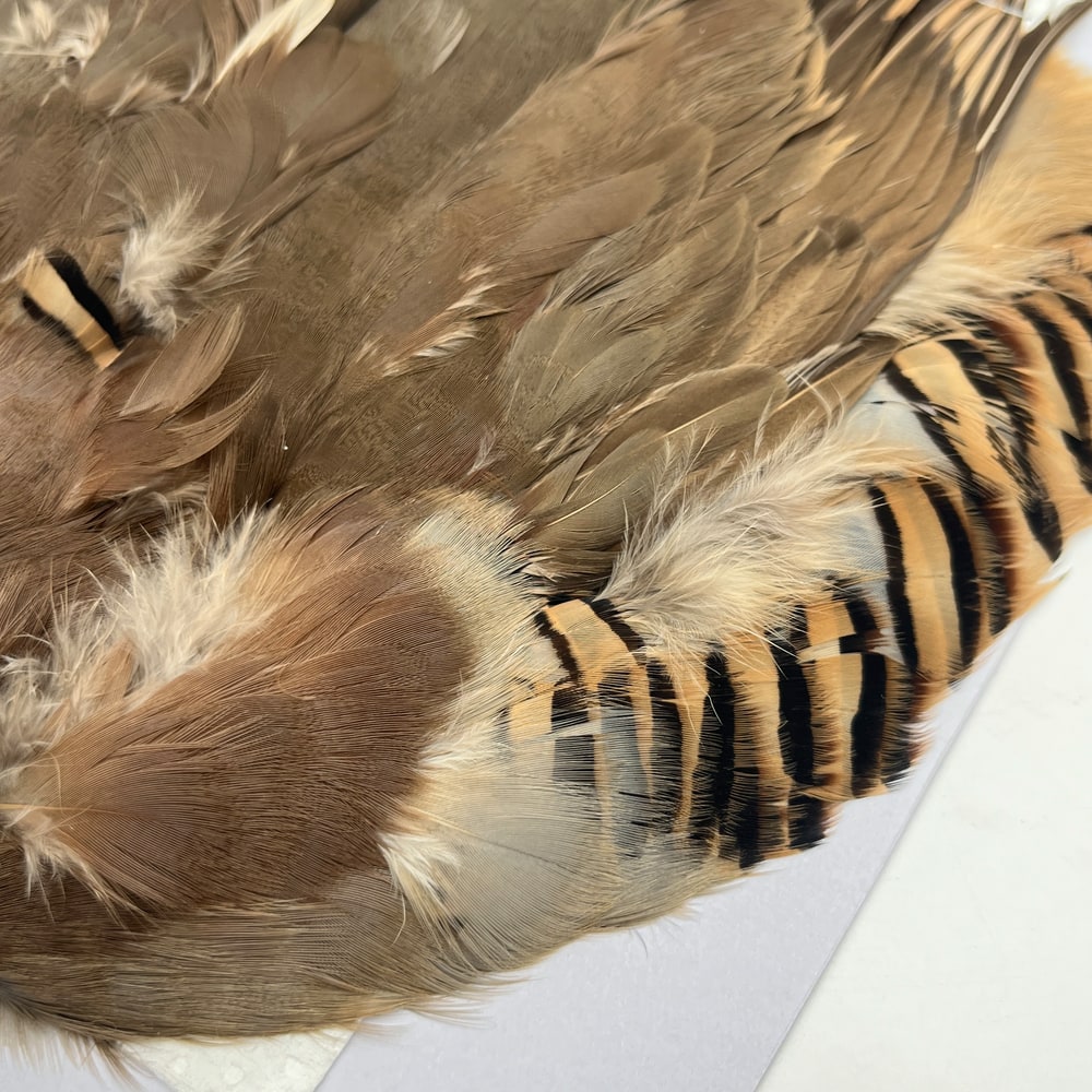 CANAL社 French Partridge （フレンチパートリッジ）コンプリート