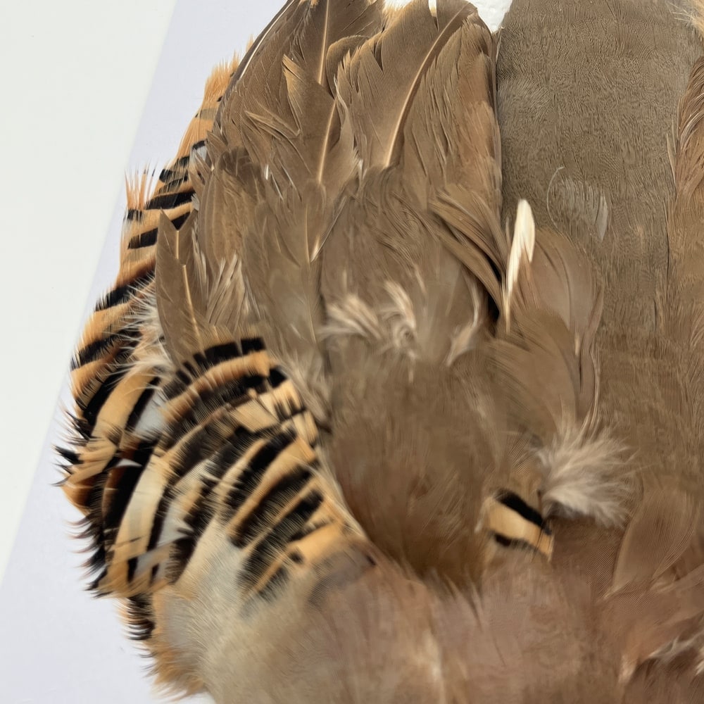 CANAL社 French Partridge （フレンチパートリッジ）コンプリート
