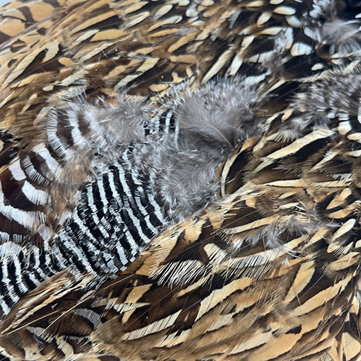 新品未開封 BLACK DESIGN かりん ブラック カリン ブラックデザイン 2025年最新】ブラックデザイン かりんの人気アイテム - メルカリ