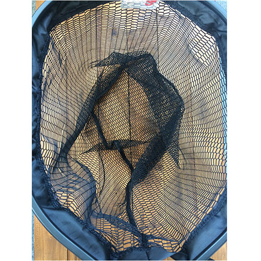 SCIERRA ����å�����꡼���ͥå�