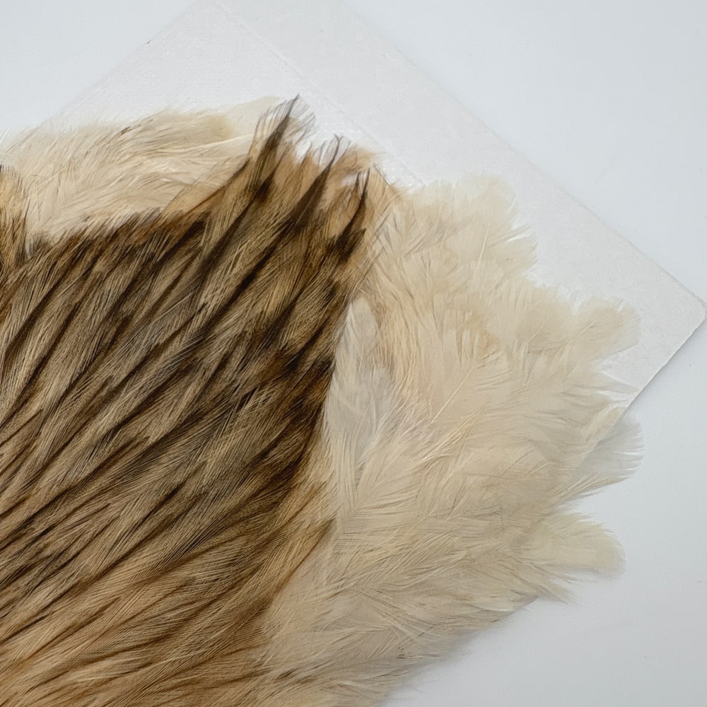 CANAL�ҡ����ԥʡ������� �Хꥢ��� SA No.1