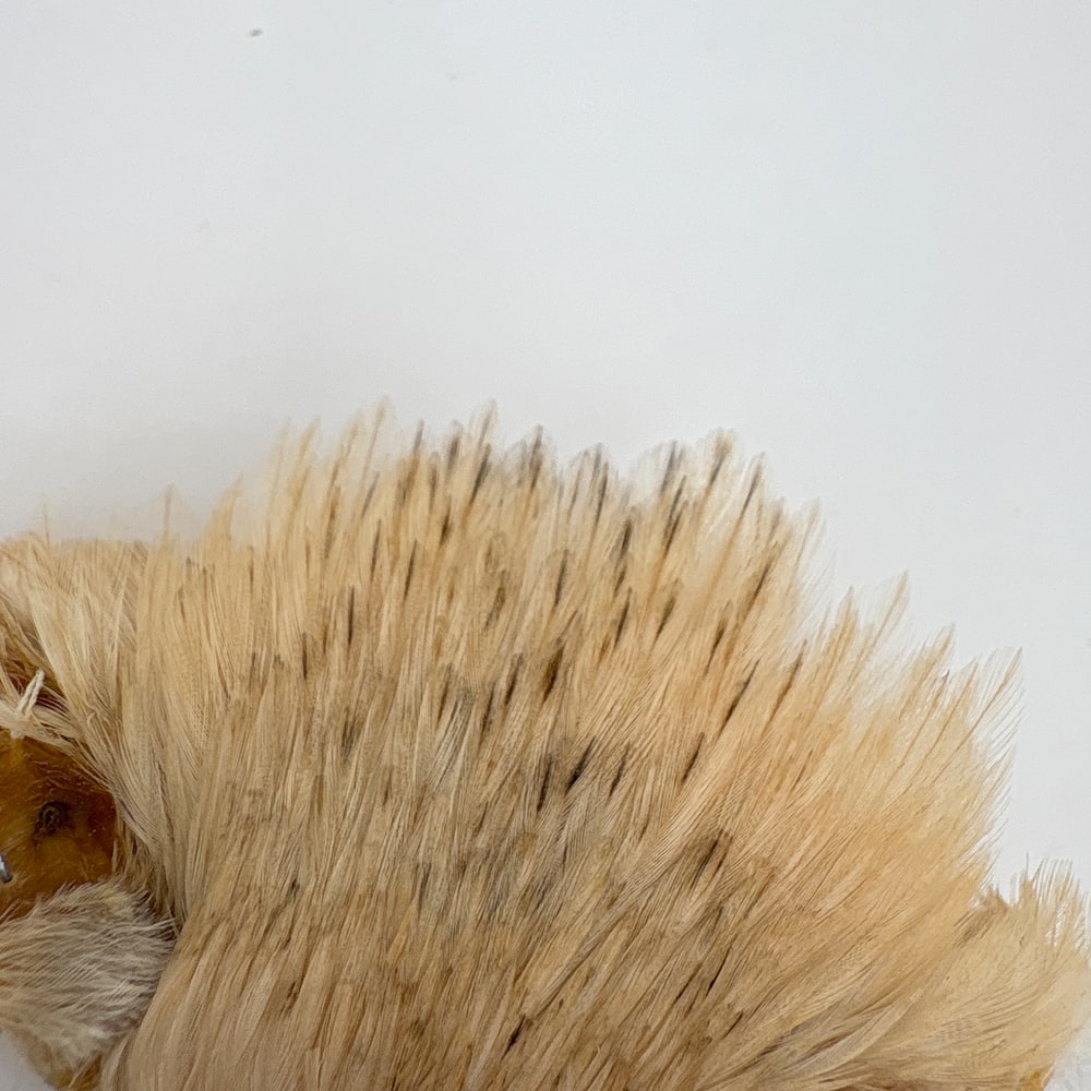 CANAL�ҡ����ԥʡ������� �Хꥢ��� SA No.1