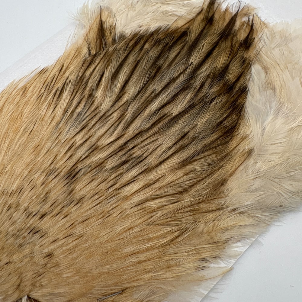 CANAL�ҡ����ԥʡ������� �Хꥢ��� SA No.1