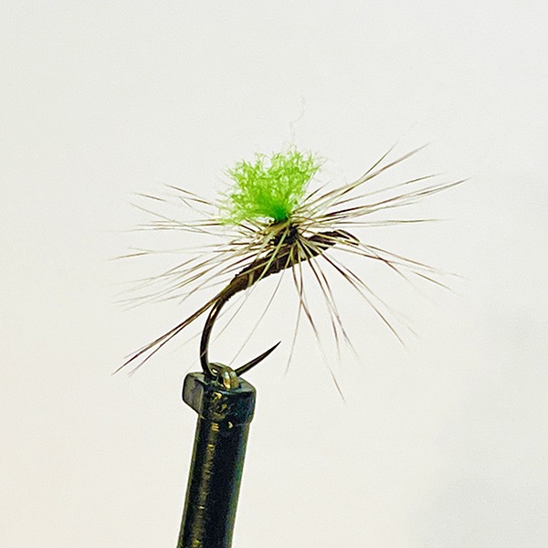 ��Ķ���㤤���ۥѥ�ݥ��ȥ����󥰣������å�