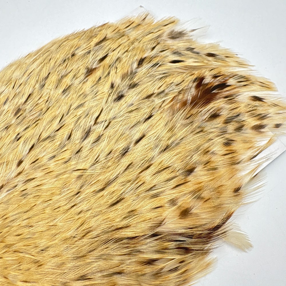 CANAL�ҡ����ԥʡ������� �Хꥢ��ȡ�SA��No.3