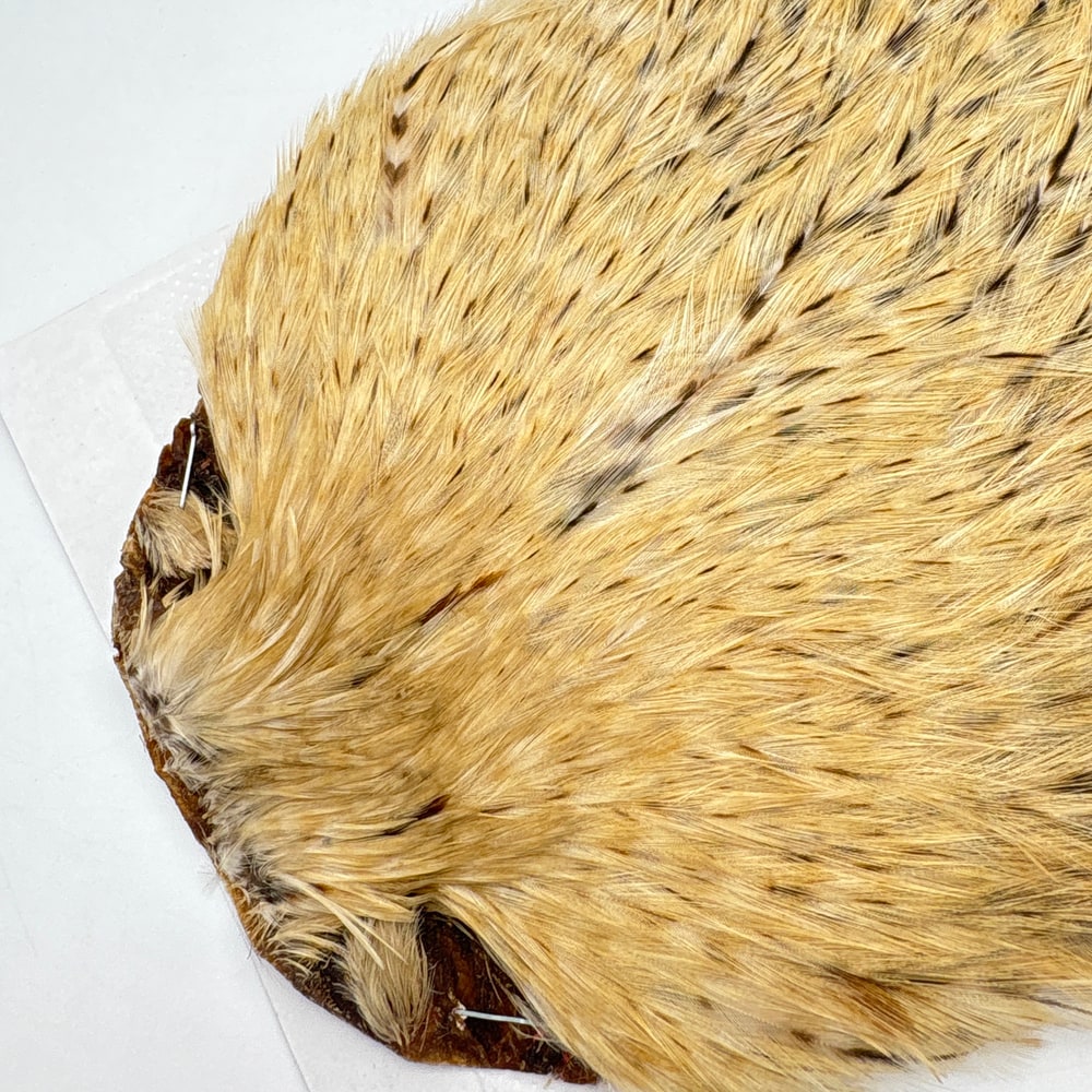 CANAL�ҡ����ԥʡ������� �Хꥢ��ȡ�SA��No.3