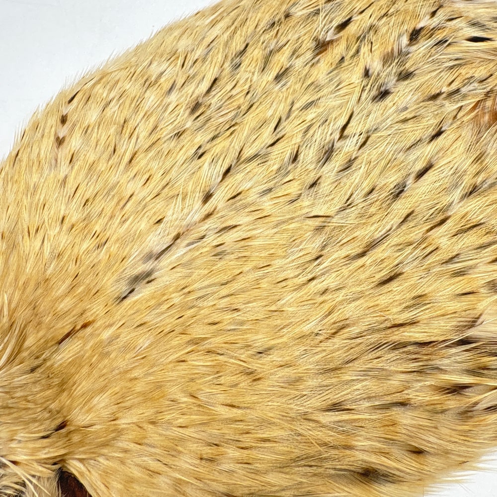 CANAL�ҡ����ԥʡ������� �Хꥢ��ȡ�SA��No.3