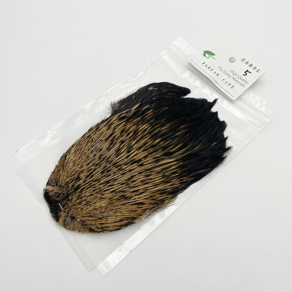 CANAL�ҡ�����ǥ����󥱡���