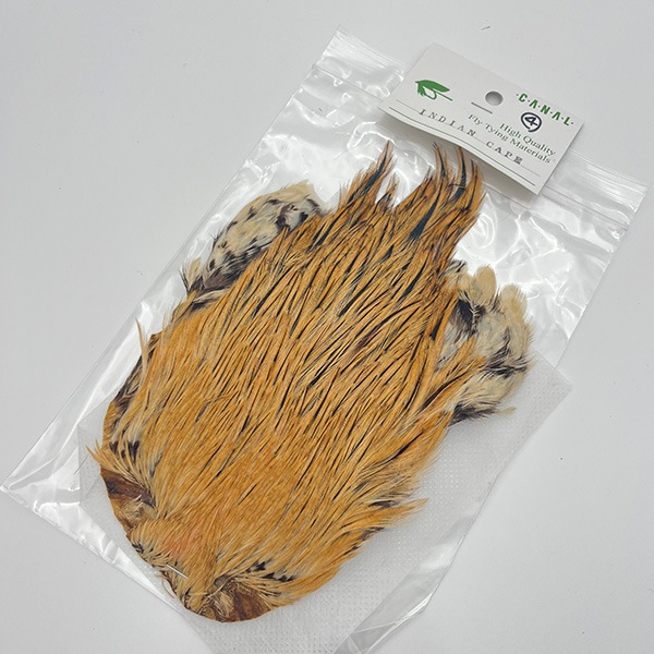 CANAL�ҡ�����ǥ����󥱡���