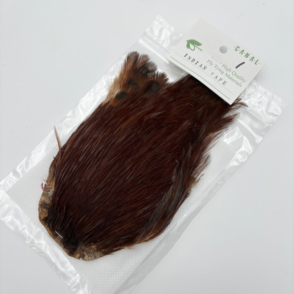 CANAL�ҡ�����ǥ����󥱡���