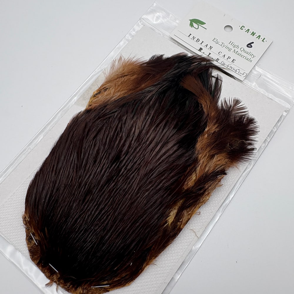 CANAL�ҡ�����ǥ����󥱡���