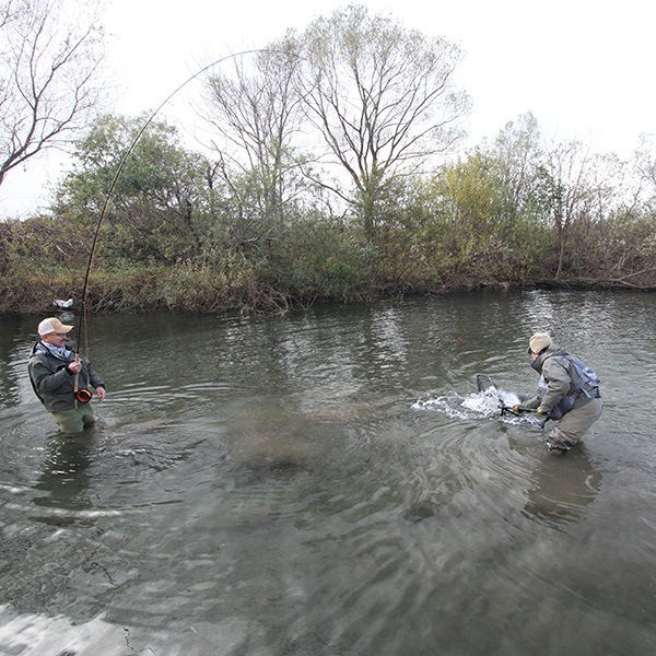 K.Bullet եǥ󥰡ͥå [FSN]