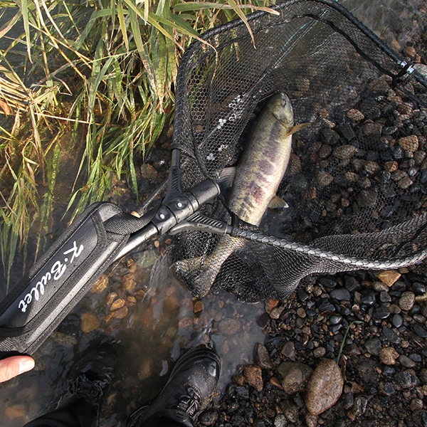 K.Bullet եǥ󥰡ͥå [FSN]