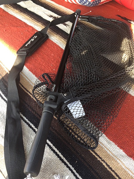 K.Bullet եǥ󥰡ͥå [FSN]