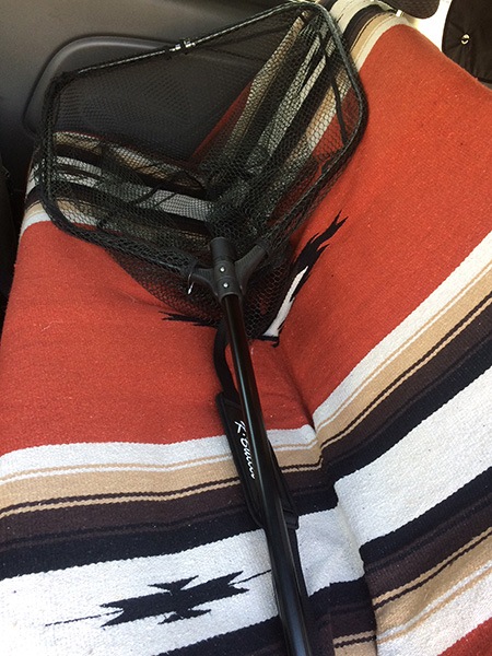 K.Bullet եǥ󥰡ͥå [FSN]