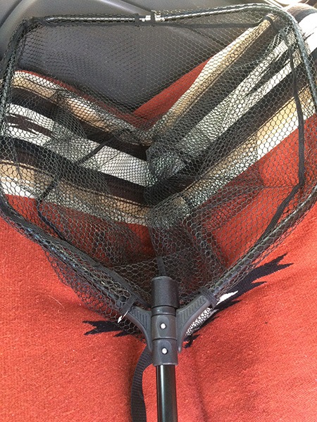 K.Bullet եǥ󥰡ͥå [FSN]