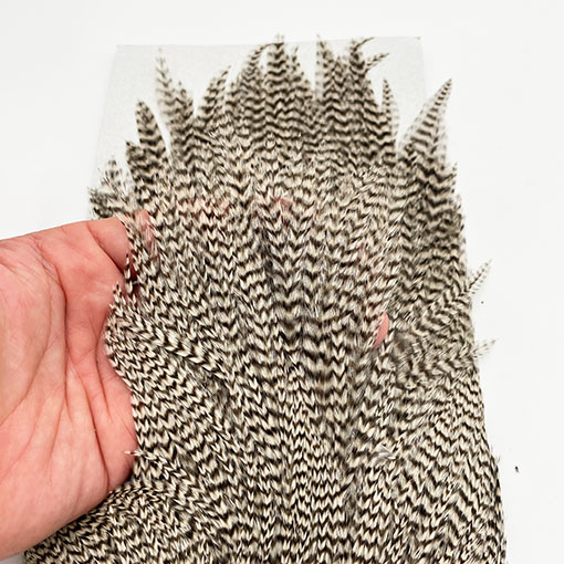 KEOUGH ハックルケープ ＃2 グリズリー（No.2)