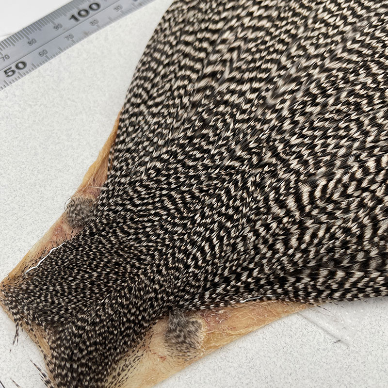 KEOUGH �ϥå��륱���ס����� ���ꥺ�꡼��No.1)