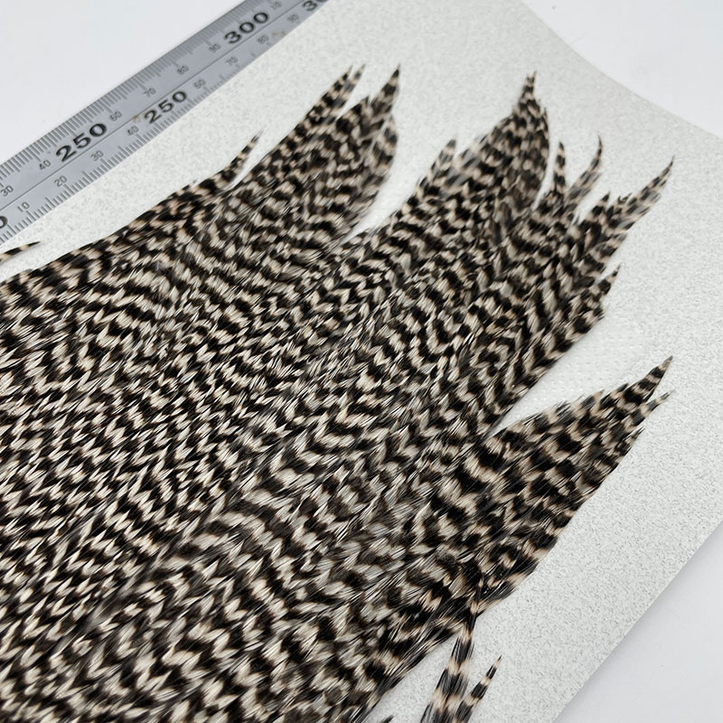 KEOUGH �ϥå��륱���ס����� ���ꥺ�꡼��No.1)