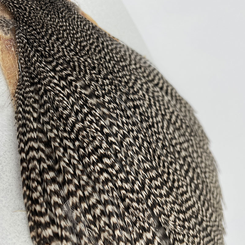 KEOUGH �ϥå��륱���ס����� ���ꥺ�꡼��No.1)