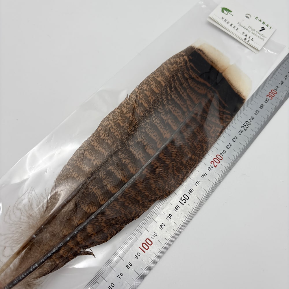 CANAL社 ターキーテールNo.1