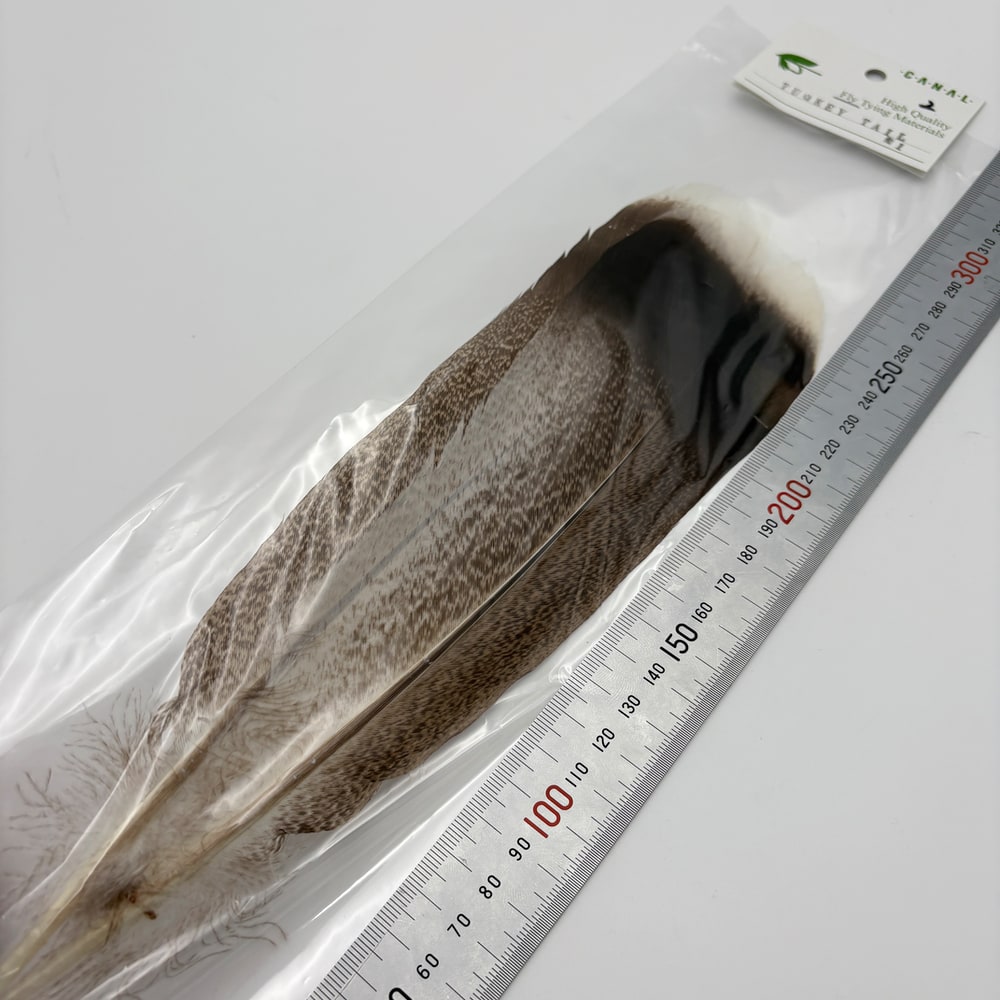 CANAL社 ターキーテールNo.1