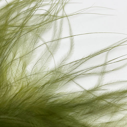 CANAL �����꡼�Х����ޥ�֡�