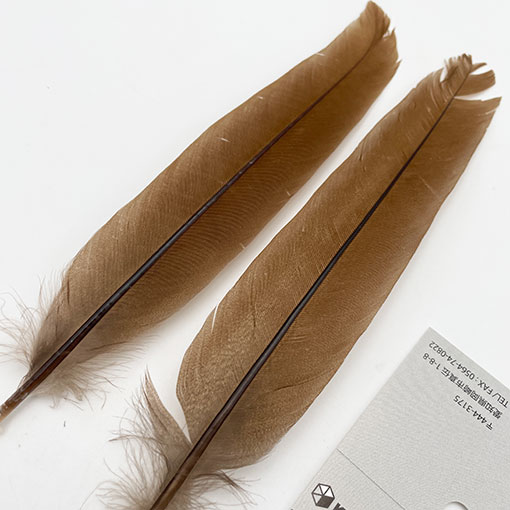 CANAL社 スペックルドフェザントテール (2000円グレード）【CN21】