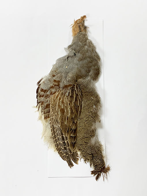 Partridge パートリッジ　ダブルハンド　14ft #9/10 Partridge パートリッジ ダブルハンド 14ft #9/10 【公式通販】