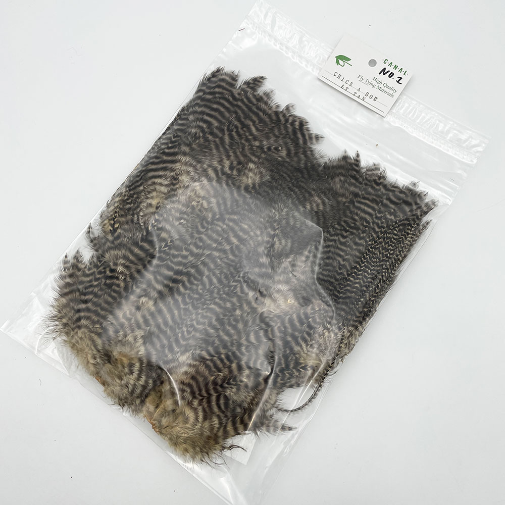 CANAL�ҡ������֡� �饤�ȥ��� NO.1