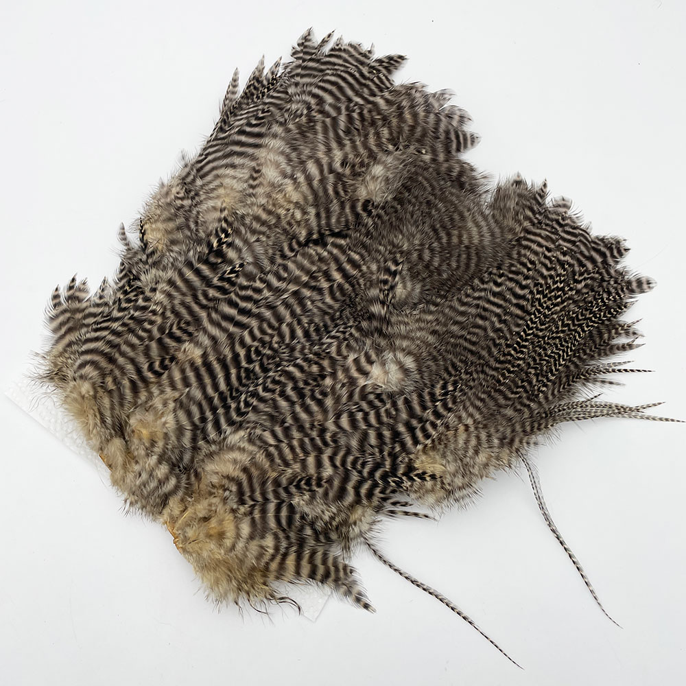 CANAL�ҡ������֡� �饤�ȥ��� NO.1