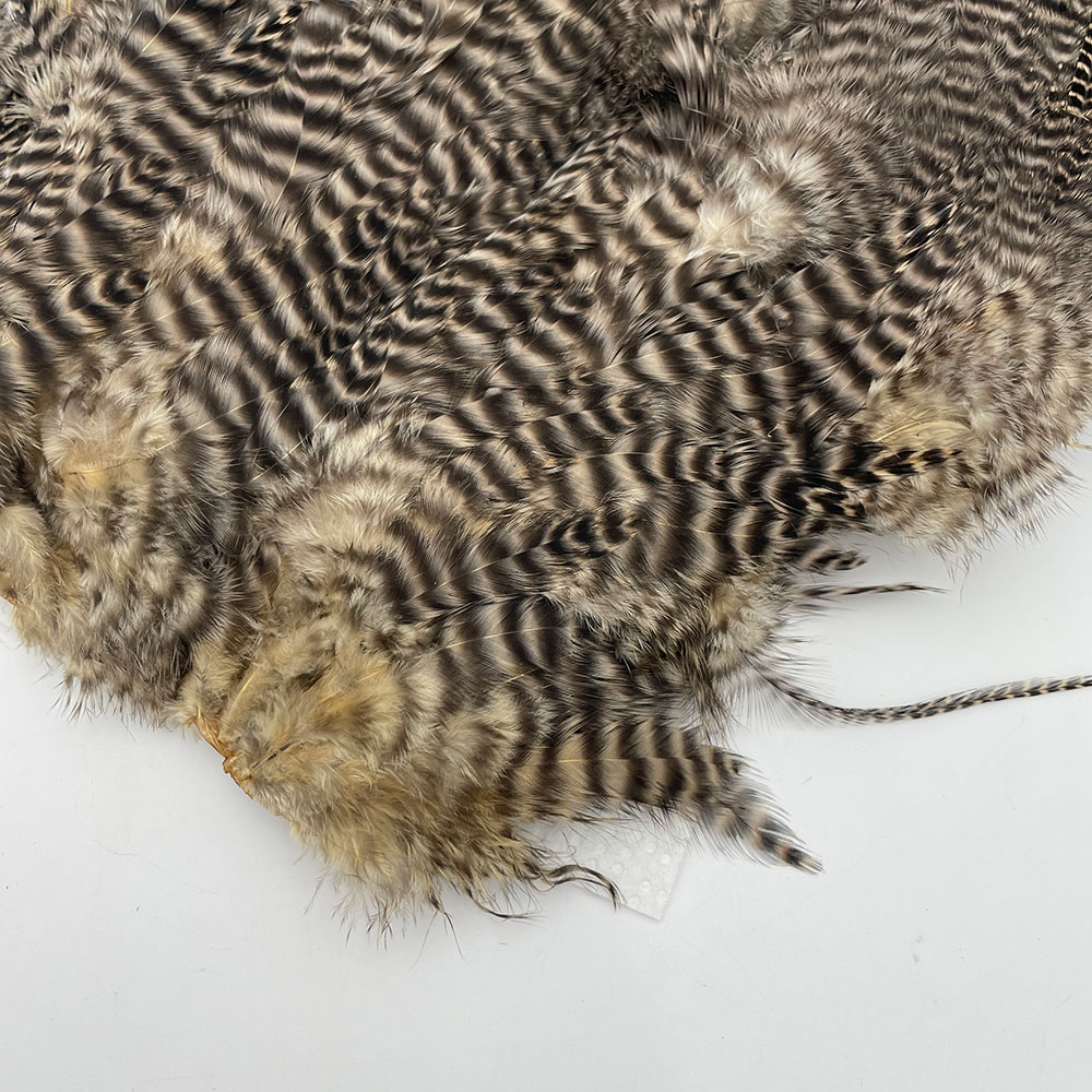 CANAL�ҡ������֡� �饤�ȥ��� NO.1