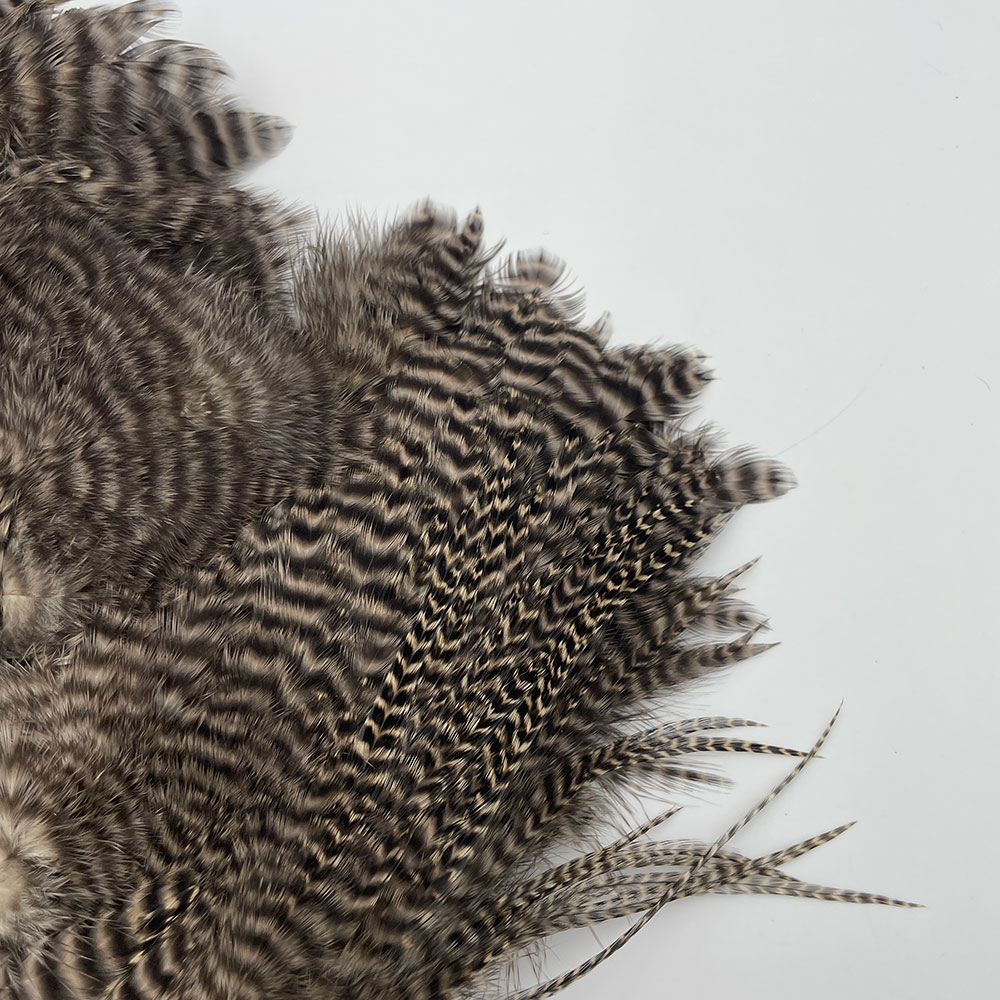 CANAL�ҡ������֡� �饤�ȥ��� NO.1