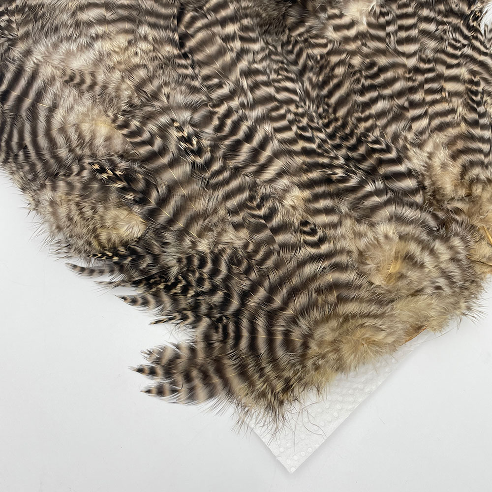 CANAL�ҡ������֡� �饤�ȥ��� NO.1