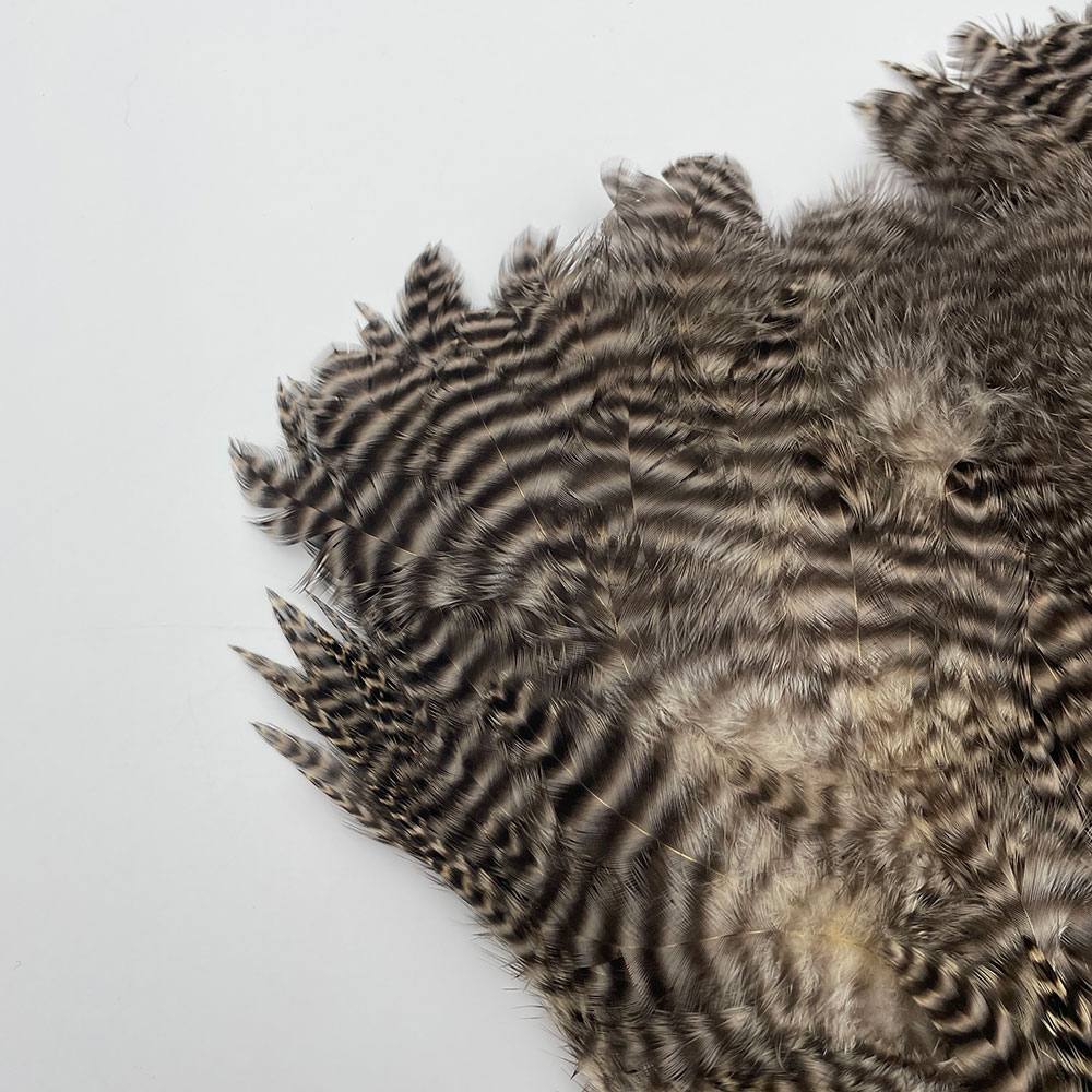 CANAL�ҡ������֡� �饤�ȥ��� NO.1