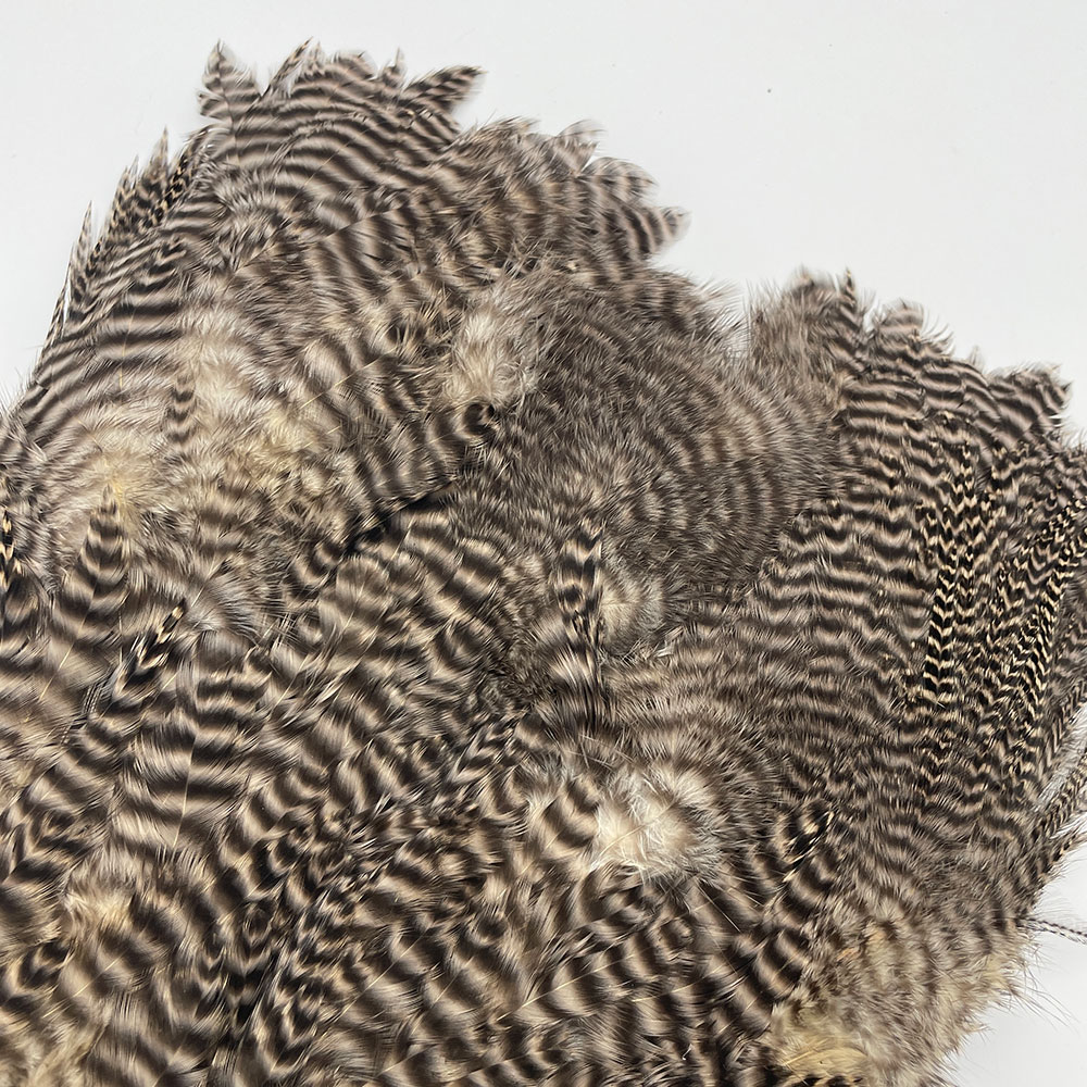 CANAL�ҡ������֡� �饤�ȥ��� NO.1